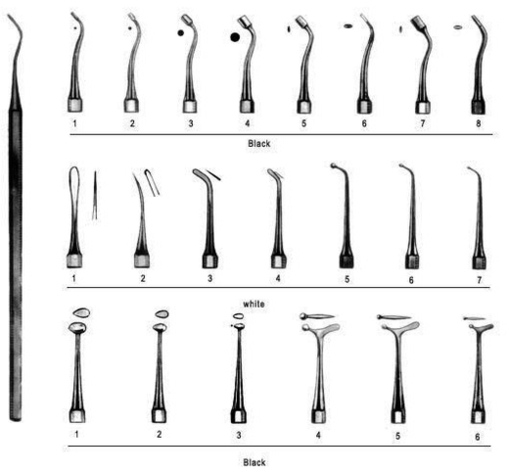 dental filling instruments | Anatomy System - Human Body Anatomy