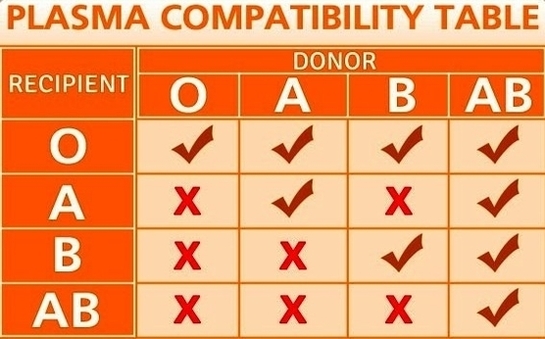 Plasma Compatibility Chart
