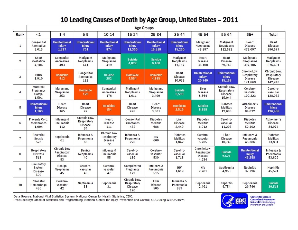 10 Leading Causes Of Death By Age Group Described