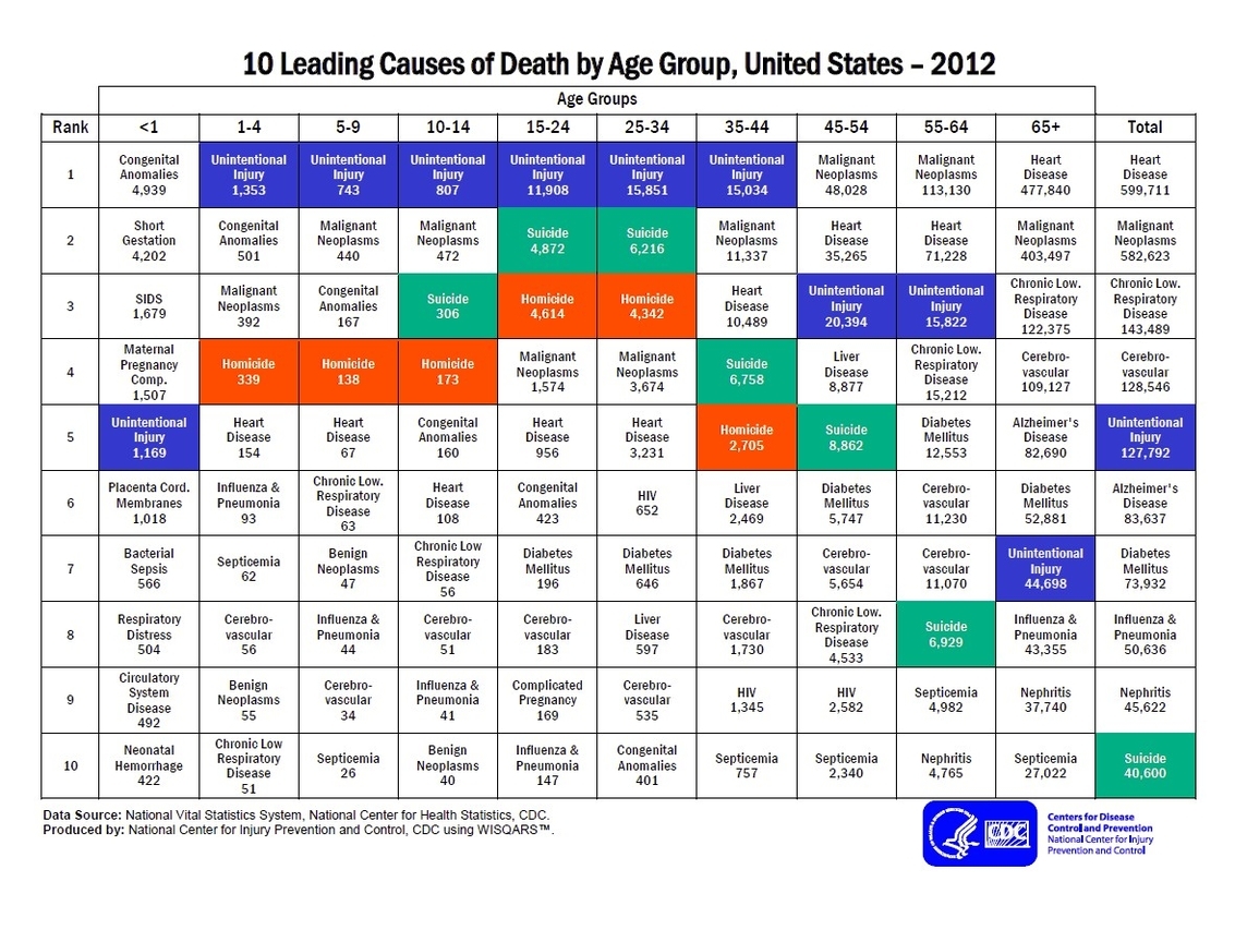 10 Leading Causes Of Death By Age Group Explanation Illustration