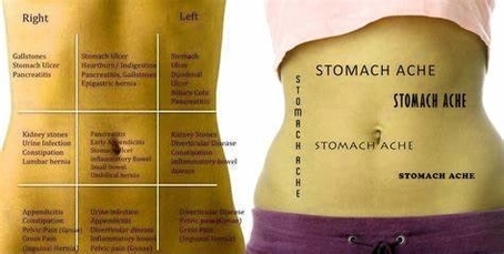 Abdominal Anatomy Example