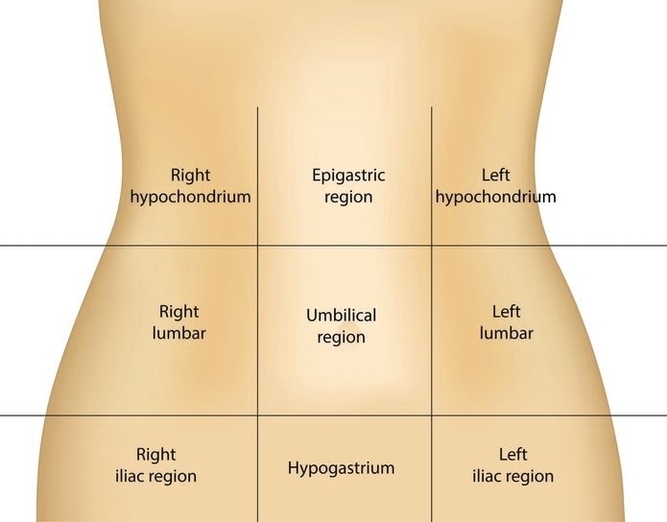 Abdominal Regions Clarified