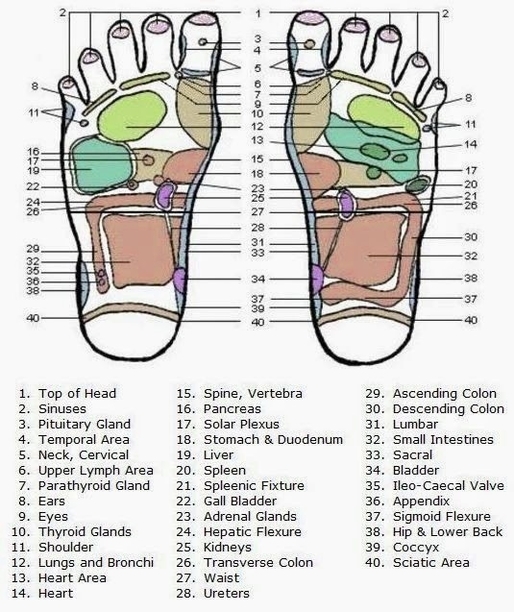 Acupressure Points On Feet Charts
