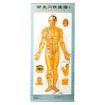 Acupuncture chart in chinese