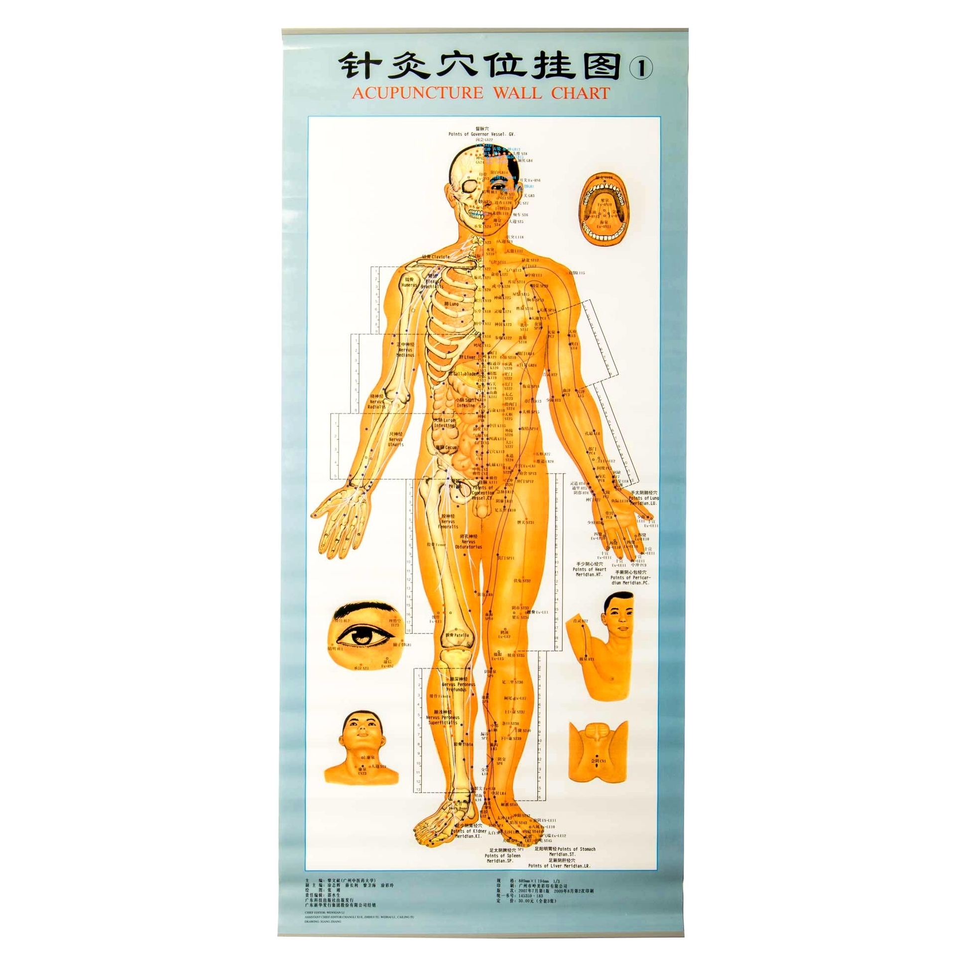 Acupuncture chart in chinese