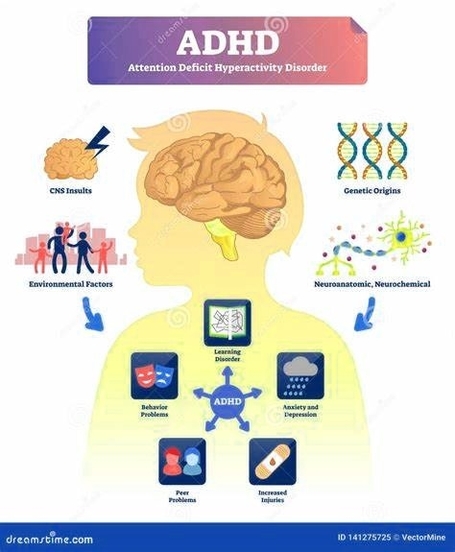 Adhd Mind Scheme