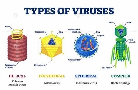 Antibodies Detection After Covid