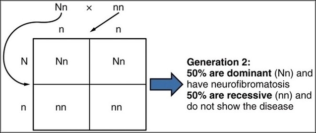 Autosomal Dominant Inheritance