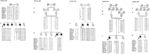 Autosomal Recessive Juvenile Parkinsonism