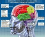 Brain And Mental Disorders