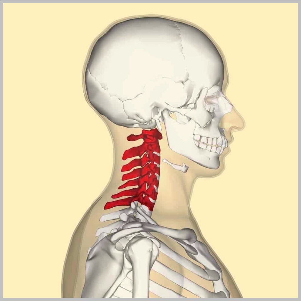 C spine picture Diagram