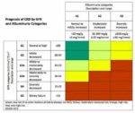 Chronic Kidney Disease Heatmap