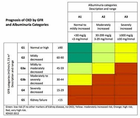 Chronic Kidney Disease Heatmap