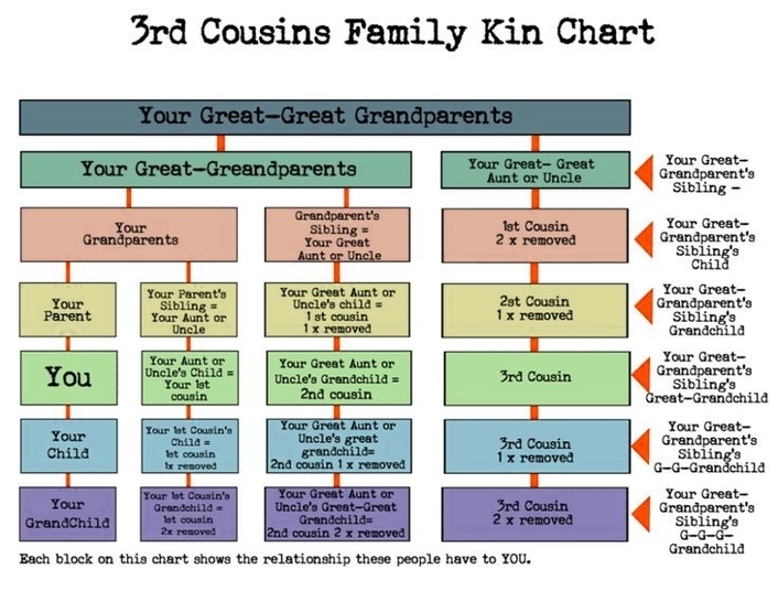 Cousin Chartcousin Genealoy Chart