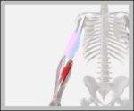 Elbow3D Diagram