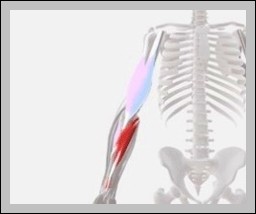 Elbow3D Diagram