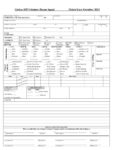 Ems Patient Care Report Template
