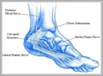 Feet Nerves Image