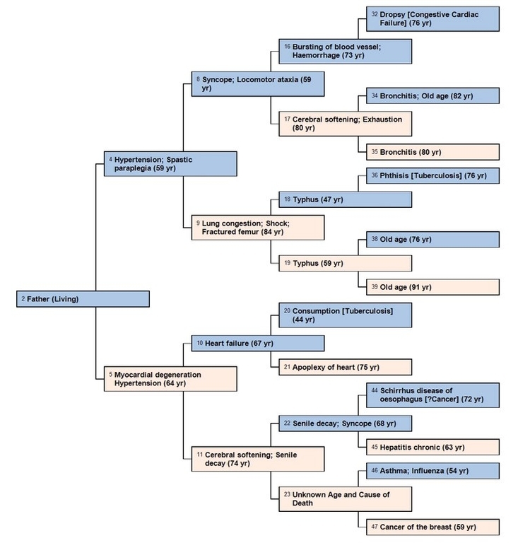 Free Printable Family Tree Worksheet