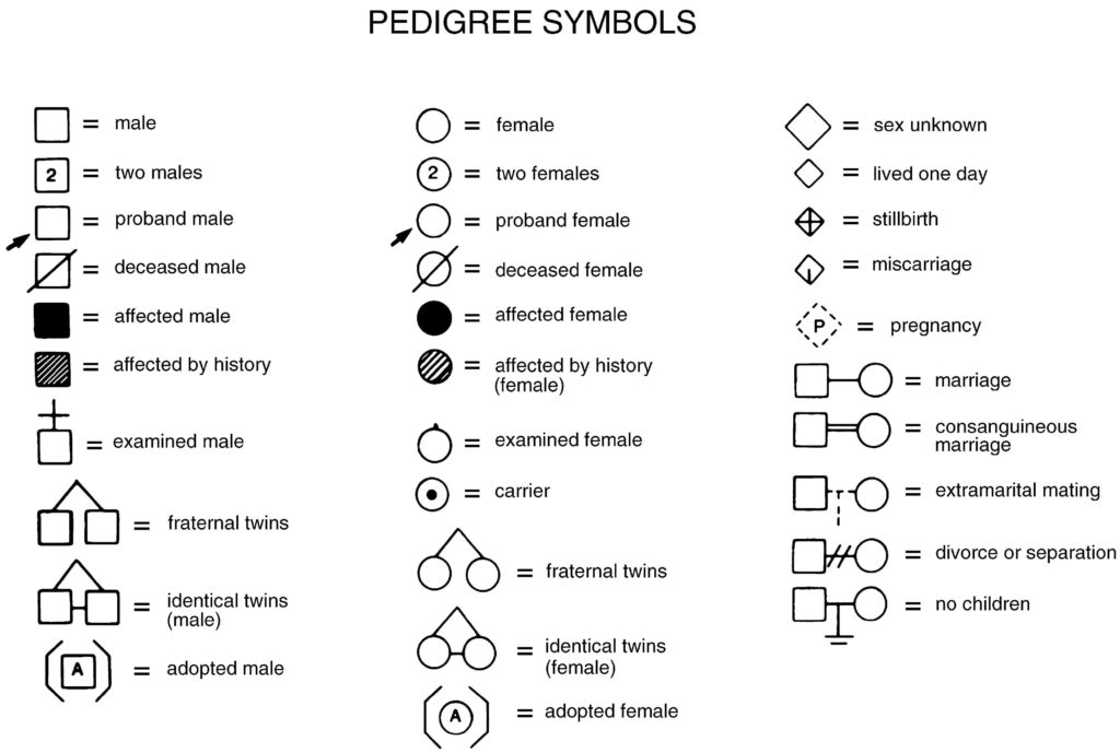 Genogram Symbols