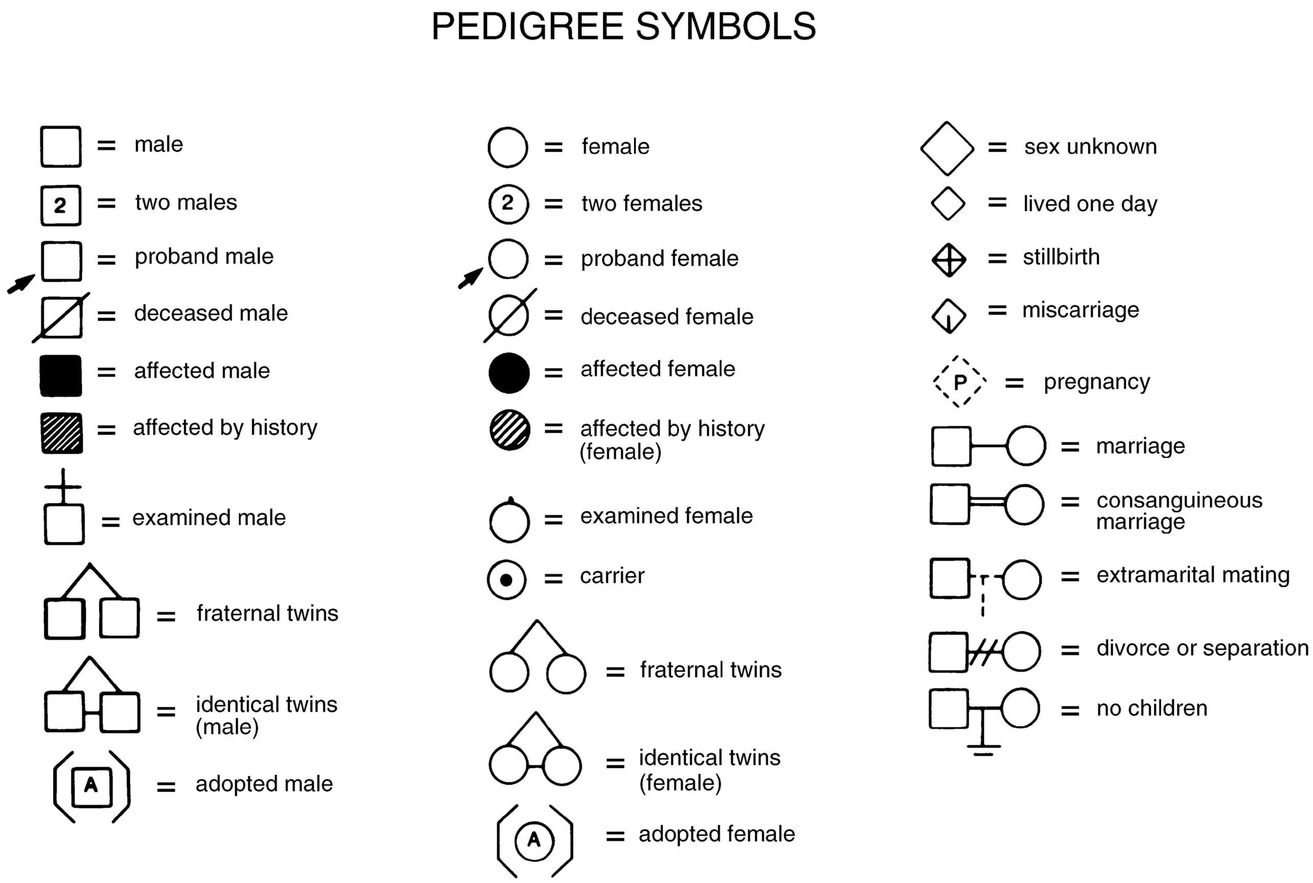 Genogram Symbols