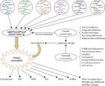 Genomics And Psychiatric Disorder