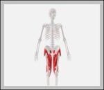 Hip Add Abd Diagram