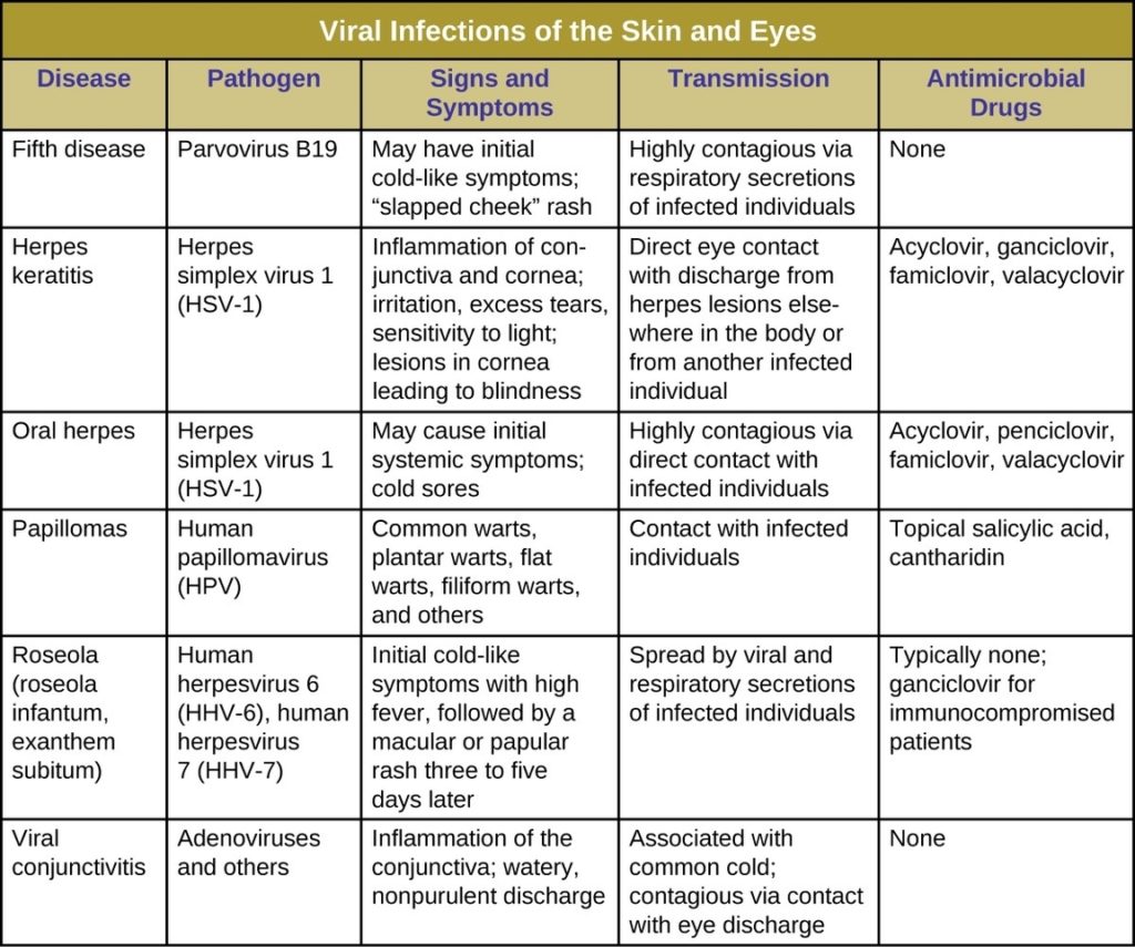 Human Skin Diseases