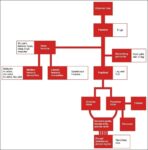 Lower Limb Arteries Chart