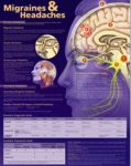 Migraines and Headaches Diagram