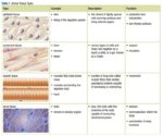 Organ System Biology