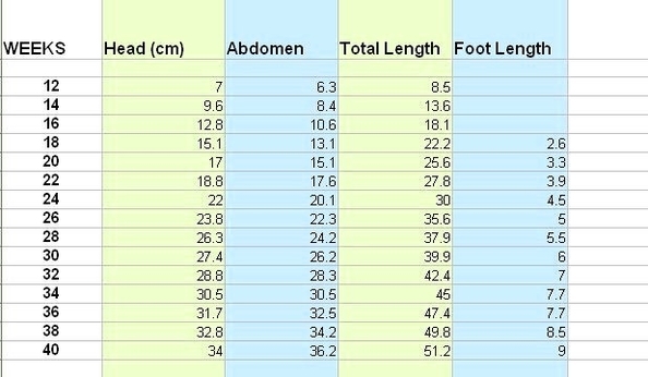 Preemie Size Chart