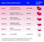 Stages Of Kidney Disease Definition