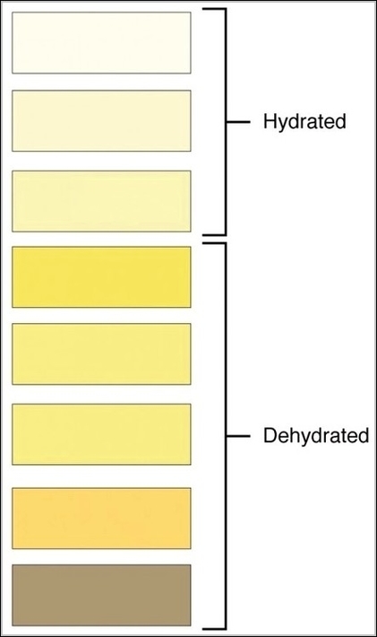 Urine Color Chart