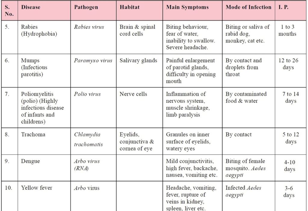 Viral Diseases In Humans