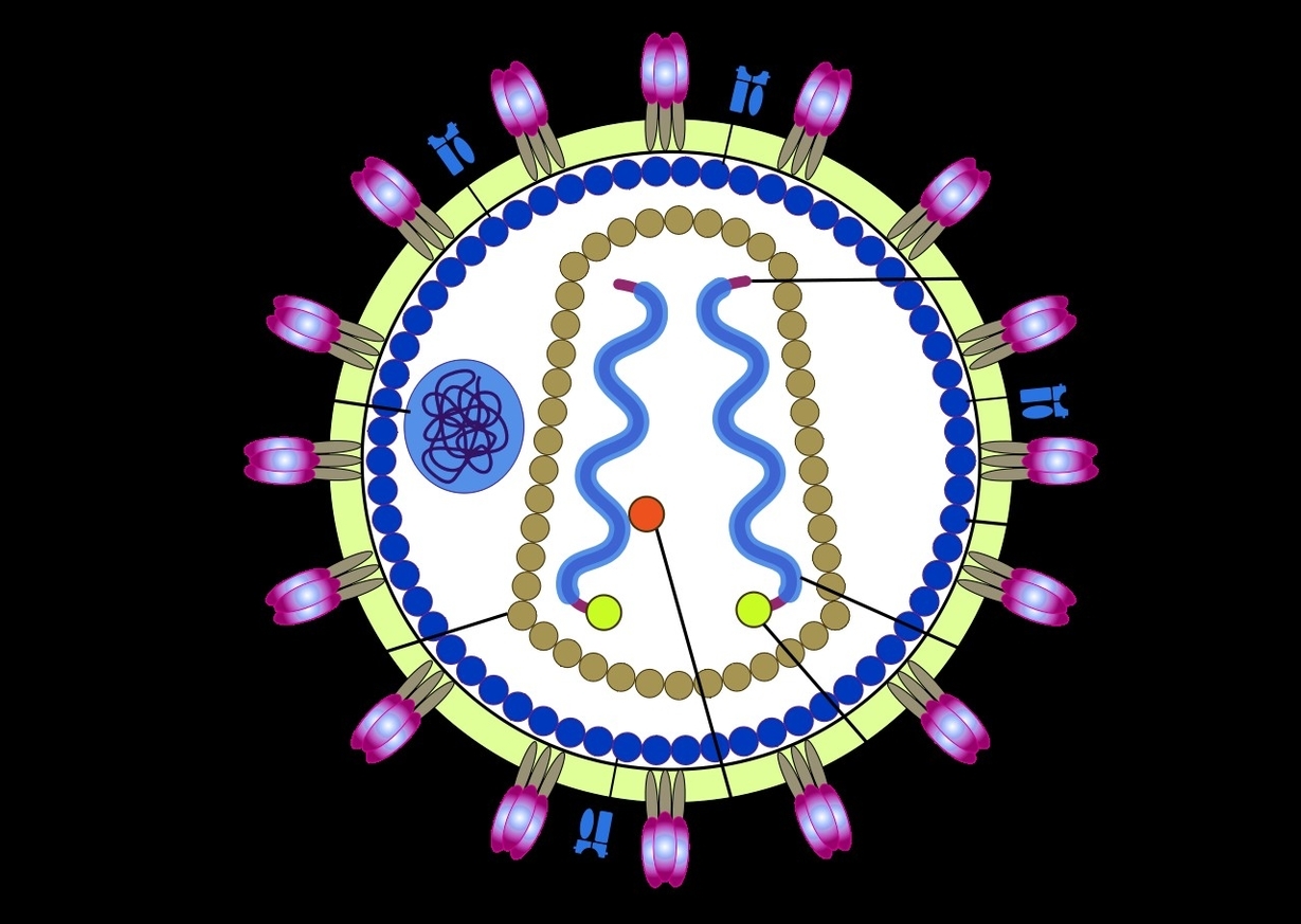 Virus Cell Structure With Labels