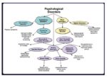Visual Diagram Psychological Paper