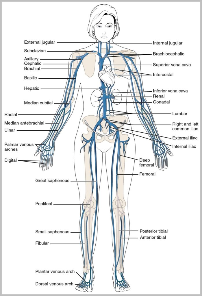 Vocational Rehabilitation Counseling Image