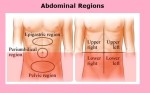 abdominal regions