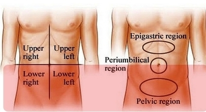 abdominal regions areas lower