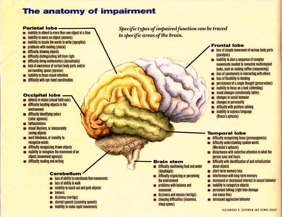 anatomy of impairment