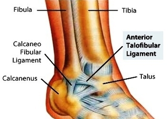 ankle injury treatment