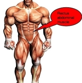 atlas tone abdominal muscles