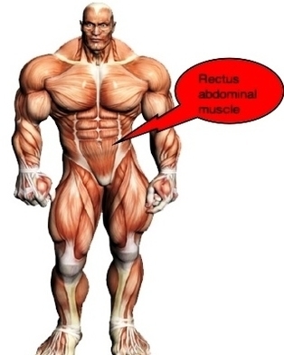 atlas tone abdominal muscles