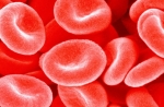 blood plasma sperm banks pop