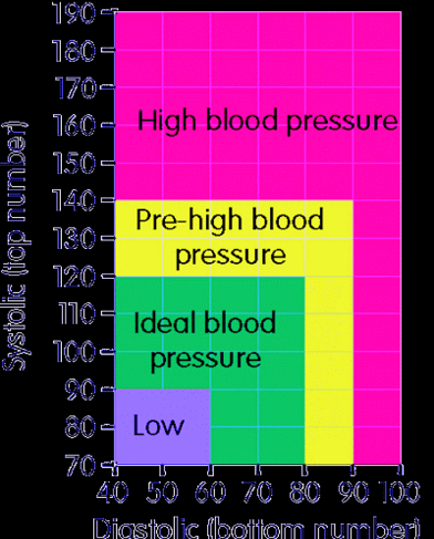 blood pressure blood pressure chart