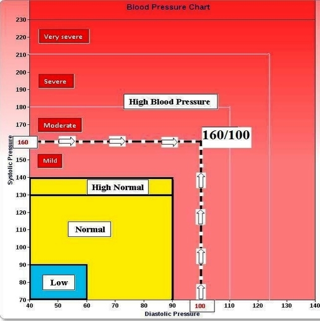 Blood Pressure Chart Example Anatomy System Human Body Anatomy Diagram And Chart Images