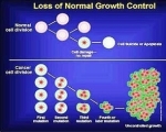 cancer cell diagram