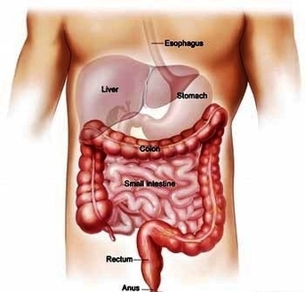 colorectal cancer small