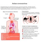 coronavirus 1